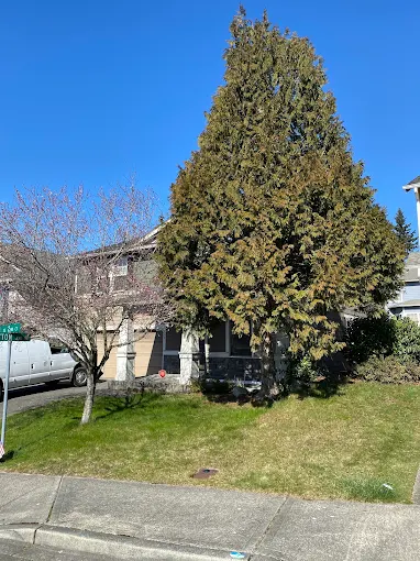 Custom construction project